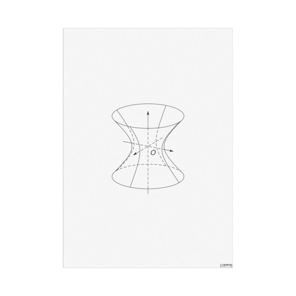 Masleff Hyperboloid of One Sheet Poster, Clean View, image 1 of 1