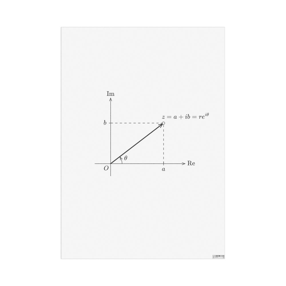 Masleff Complex Plane Poster, image 1 of 1