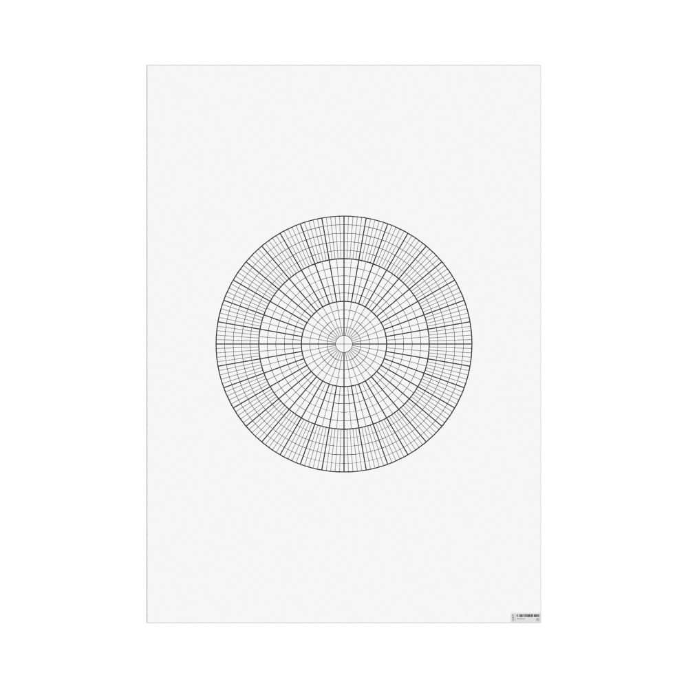 Masleff Polar Graph Paper Poster, image 1 of 2