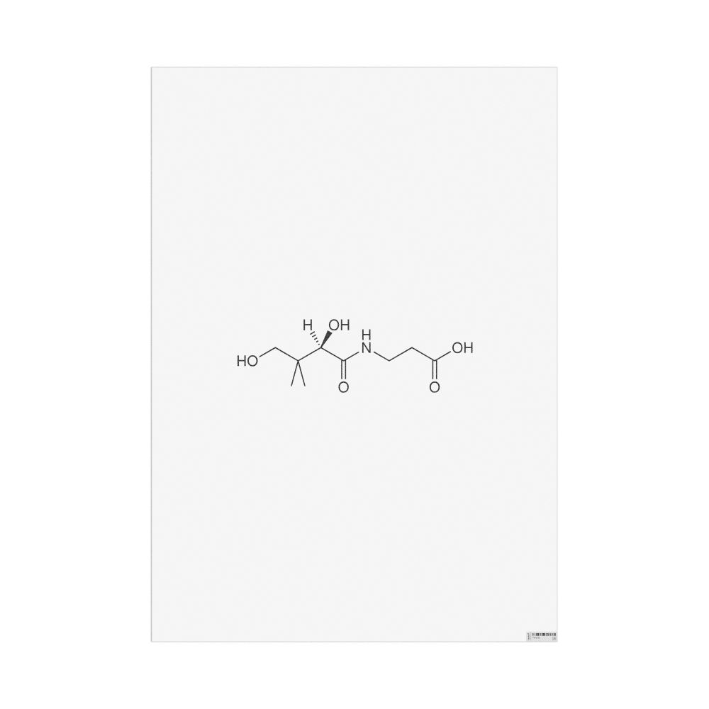 Masleff Pantothenic Acid Molecule Poster, 2D Structure, image 1 of 1