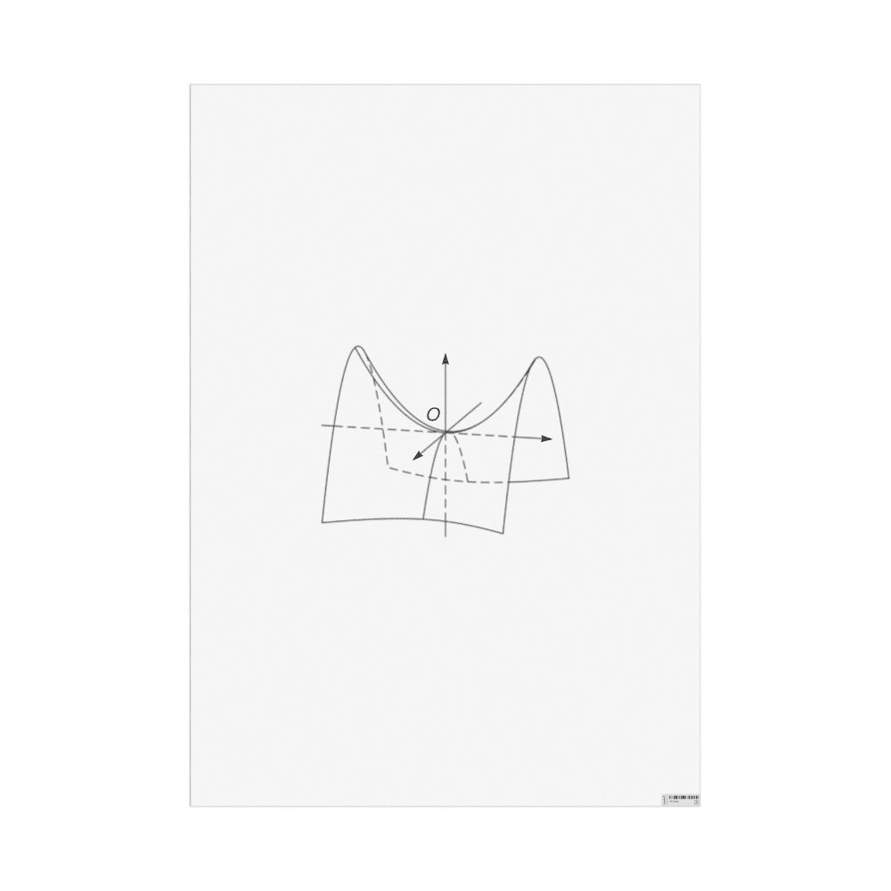 Masleff Hyperbolic Paraboloid Poster, Clean View, image 1 of 1