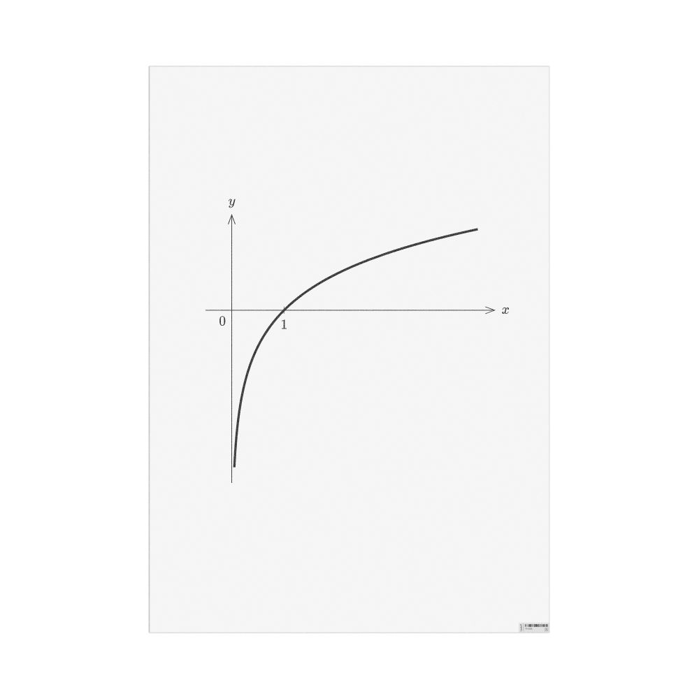 Masleff Natural Logarithm Poster, image 1 of 1