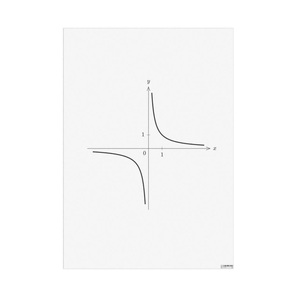 Masleff Reciprocal Function Poster, image 1 of 1