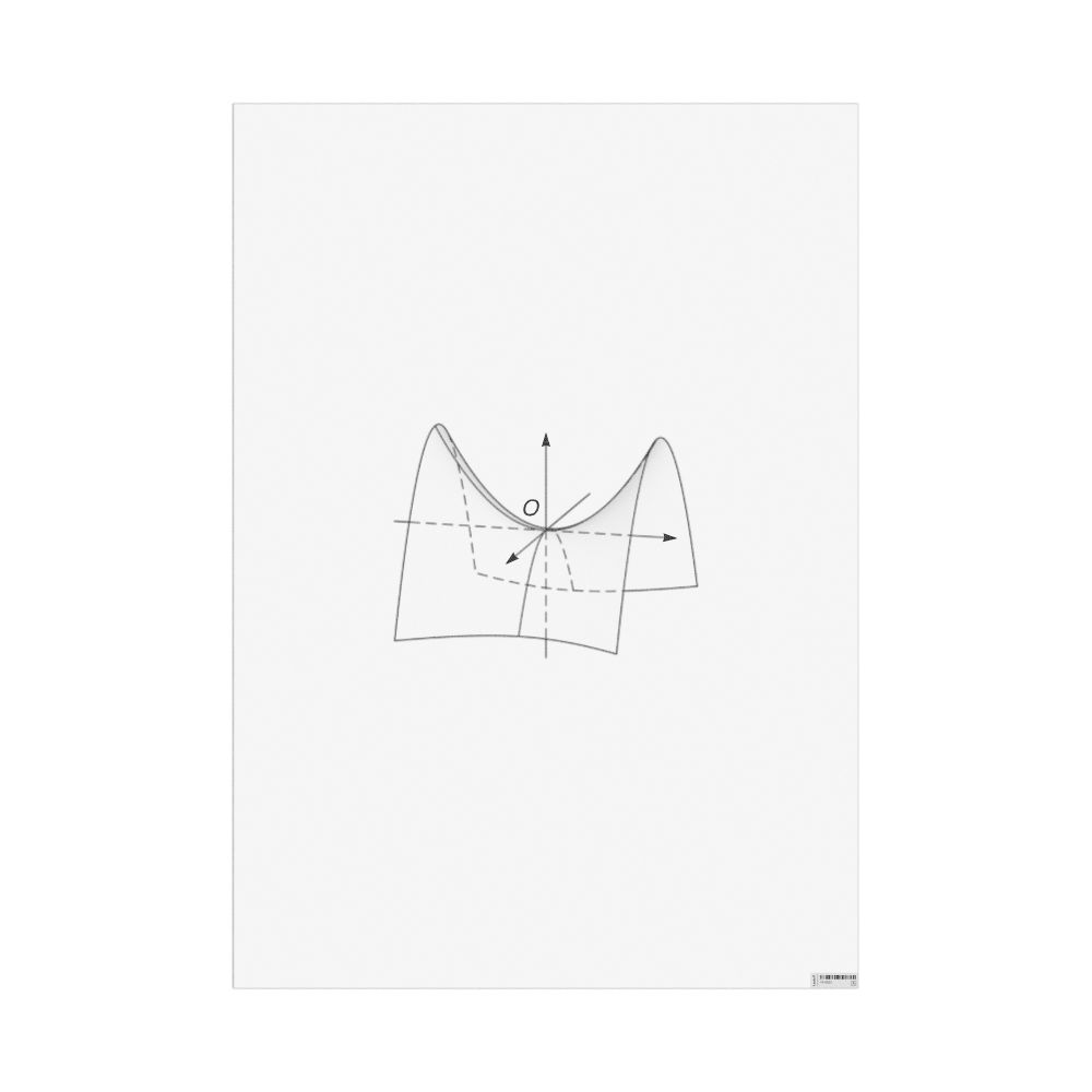 Masleff Hyperbolic Paraboloid Poster, Shaded View, image 1 of 1