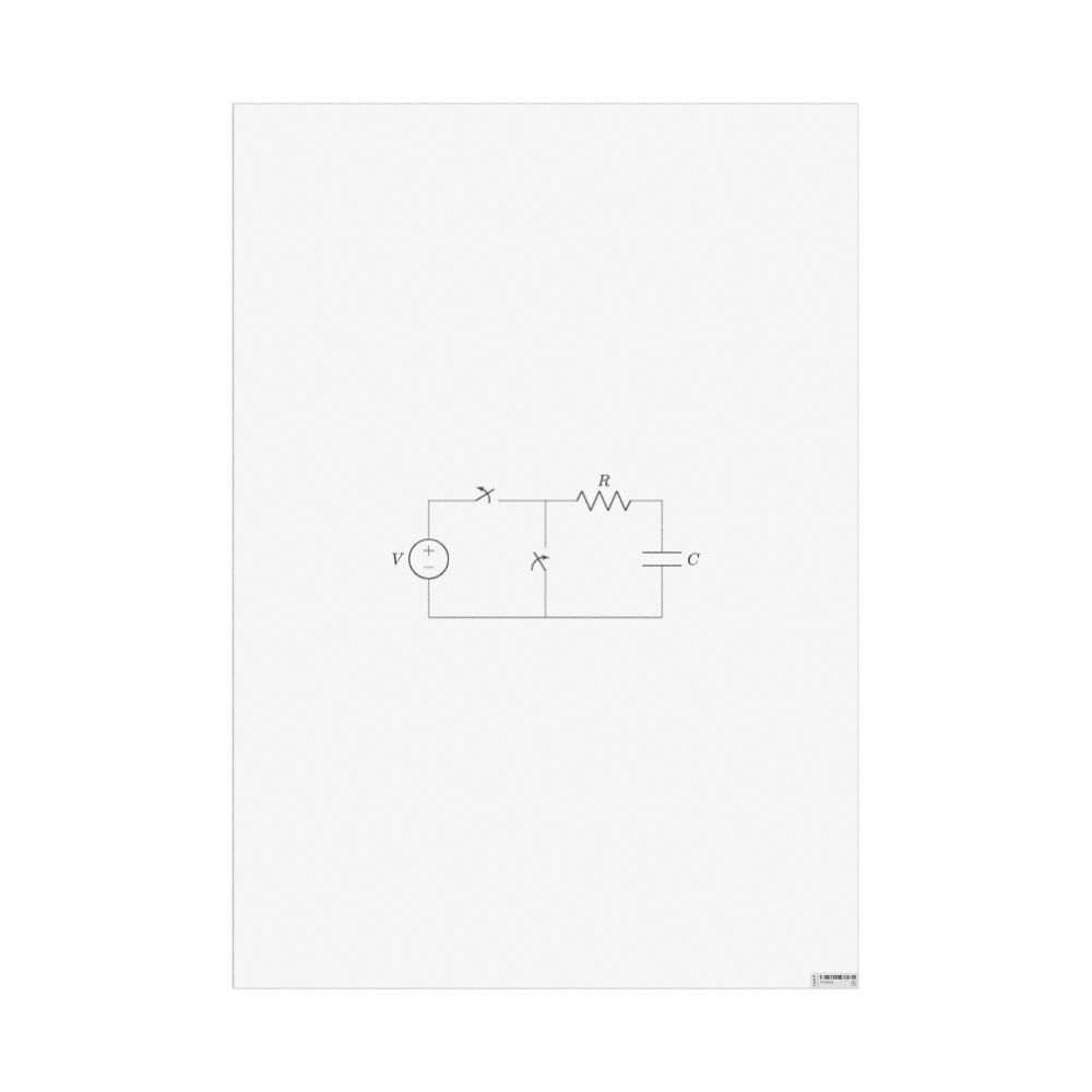 Masleff RC Circuit Poster, image 1 of 1