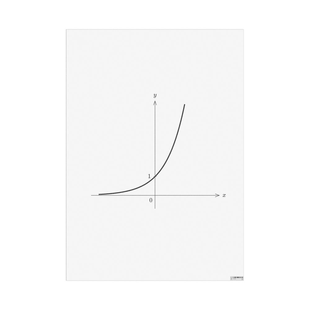 Masleff Exponential Function Poster, image 1 of 1