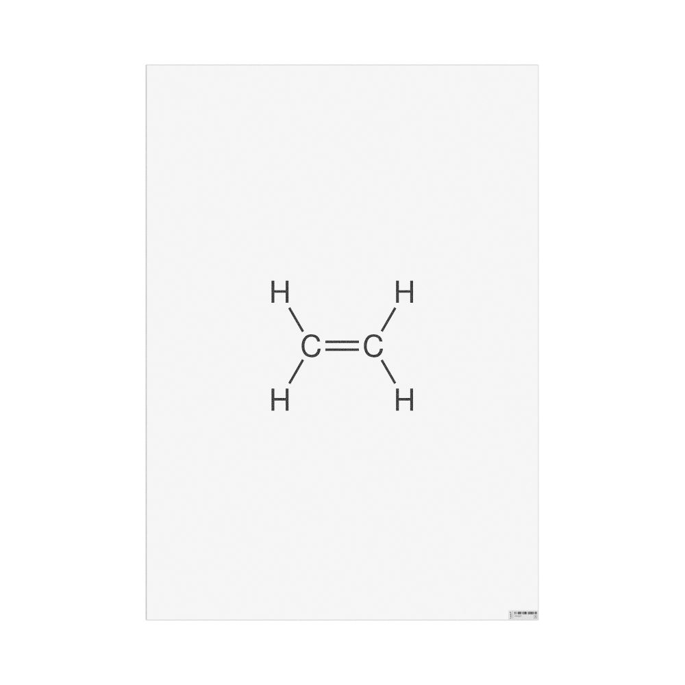 Masleff Ethylene Molecule Poster, 2D Structure, image 1 of 1