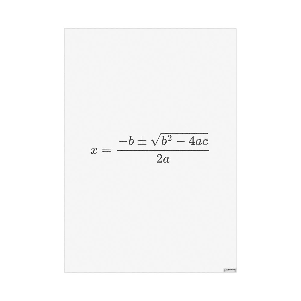 Masleff Quadratic Formula Poster, image 1 of 1
