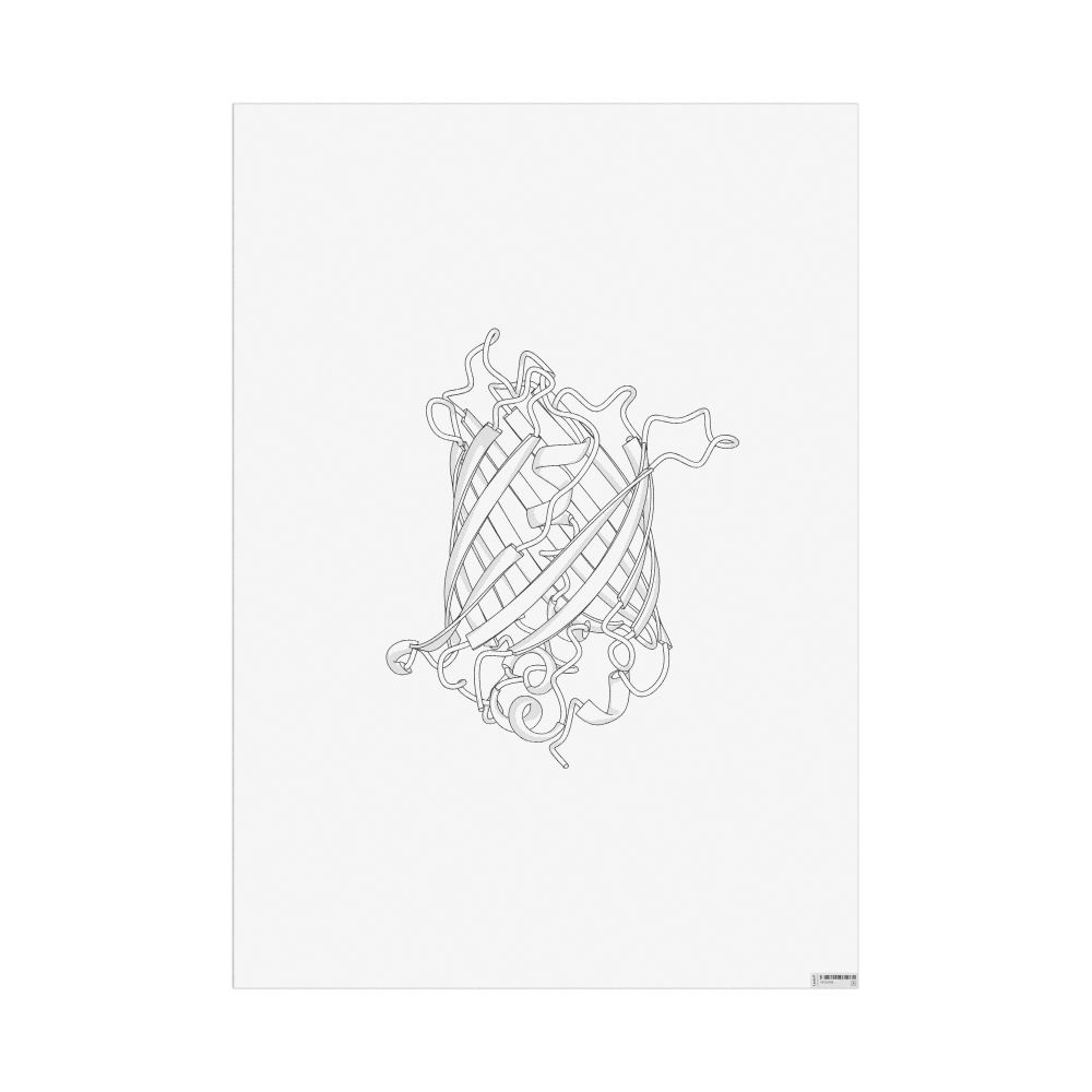 Masleff Green Fluorescent Protein Poster, Duotone, image 1 of 1