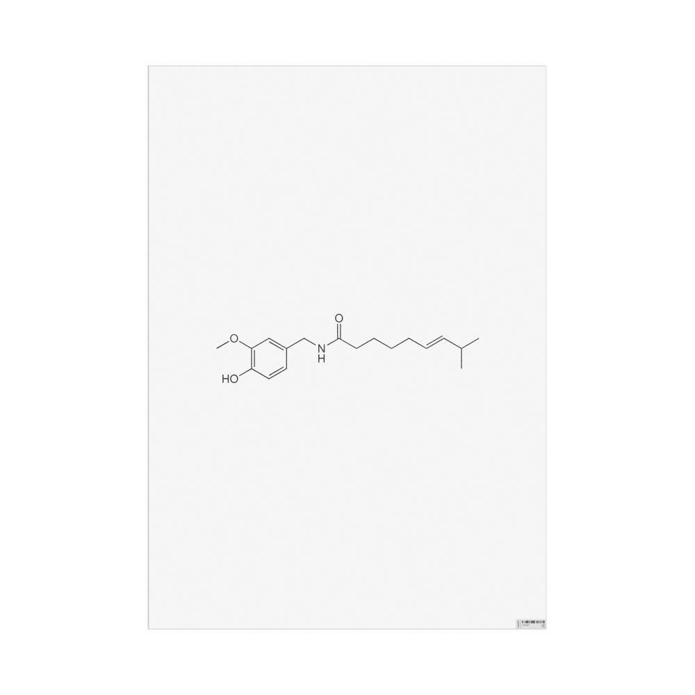 Masleff Capsaicin Molecule Poster, 2D Structure, image 1 of 1