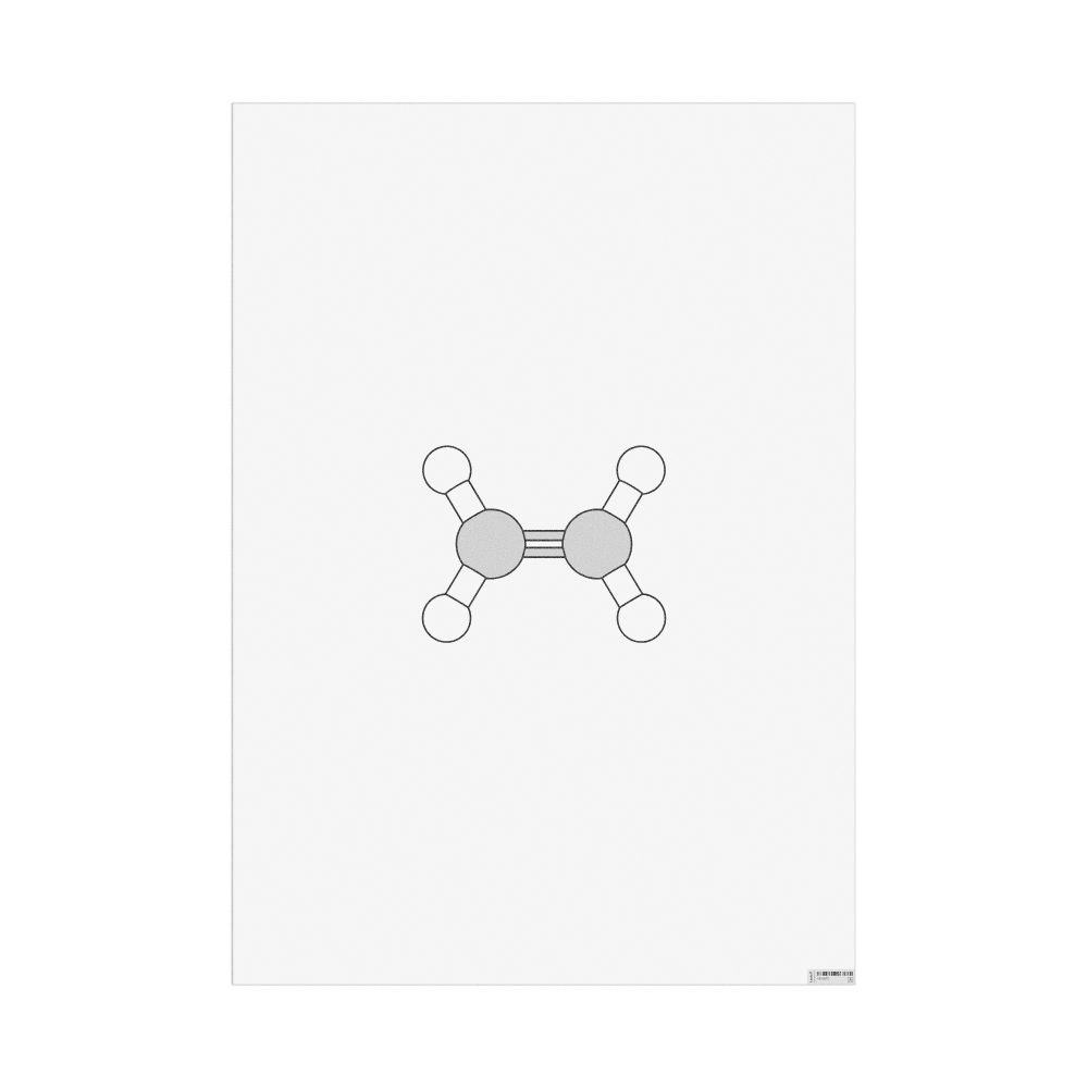 Masleff Ethylene Molecule Poster, Ball-and-Stick Model, image 1 of 1