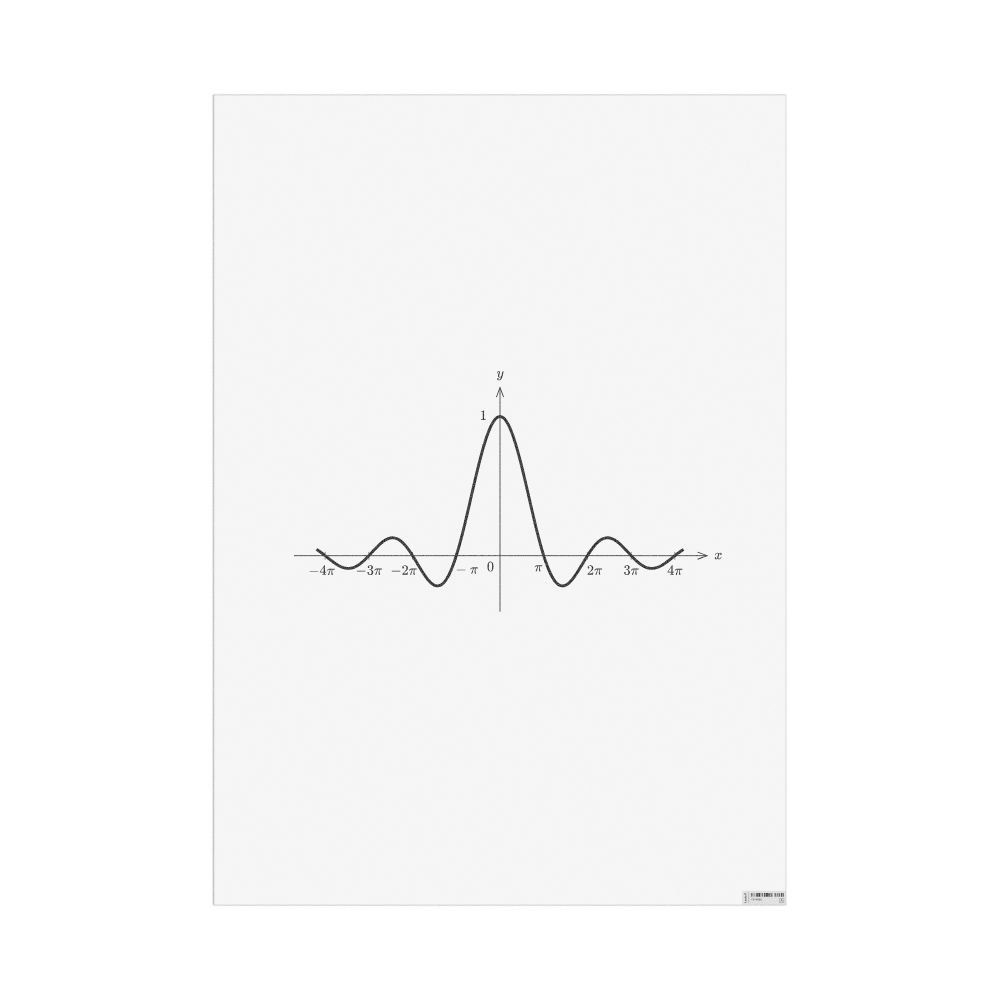 Masleff Sinc Function Poster, image 1 of 1