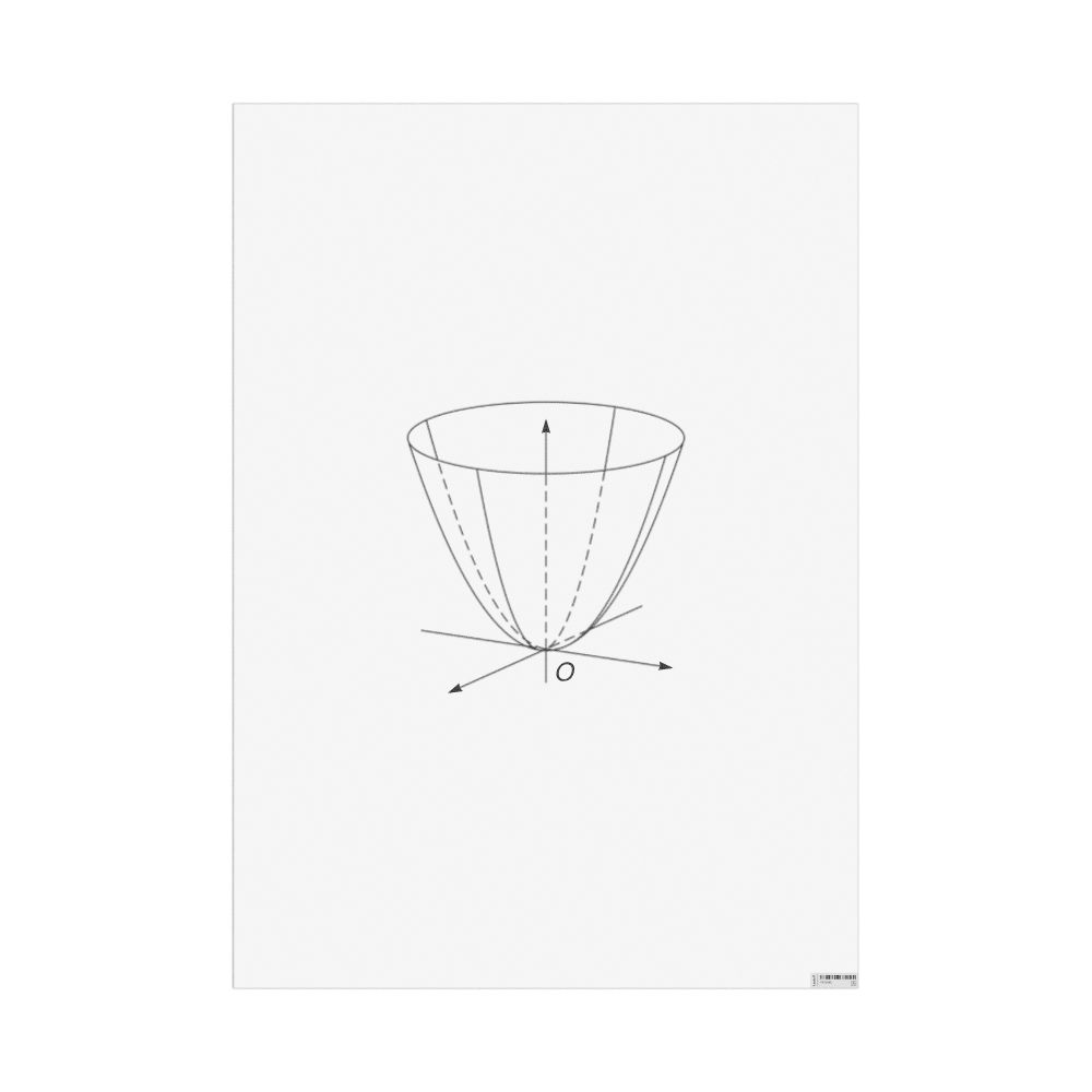 Masleff Elliptic Paraboloid Poster, Clean View, image 1 of 1
