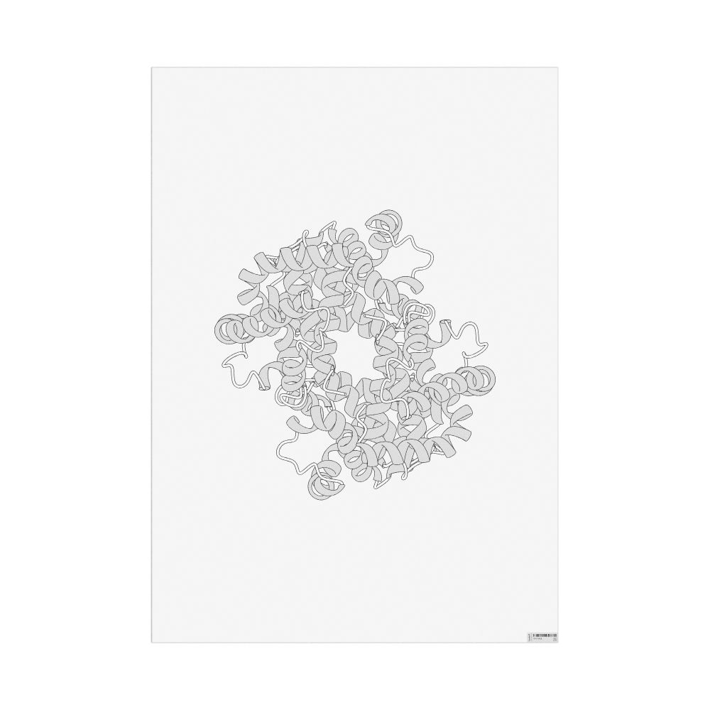 Masleff Hemoglobin Poster, Technical Illustration, image 1 of 1