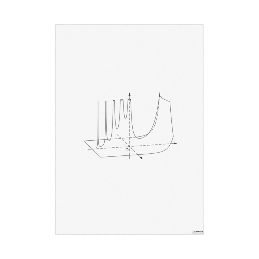 Masleff Absolute Value of the Gamma Function Poster, Clean View, image 1 of 1