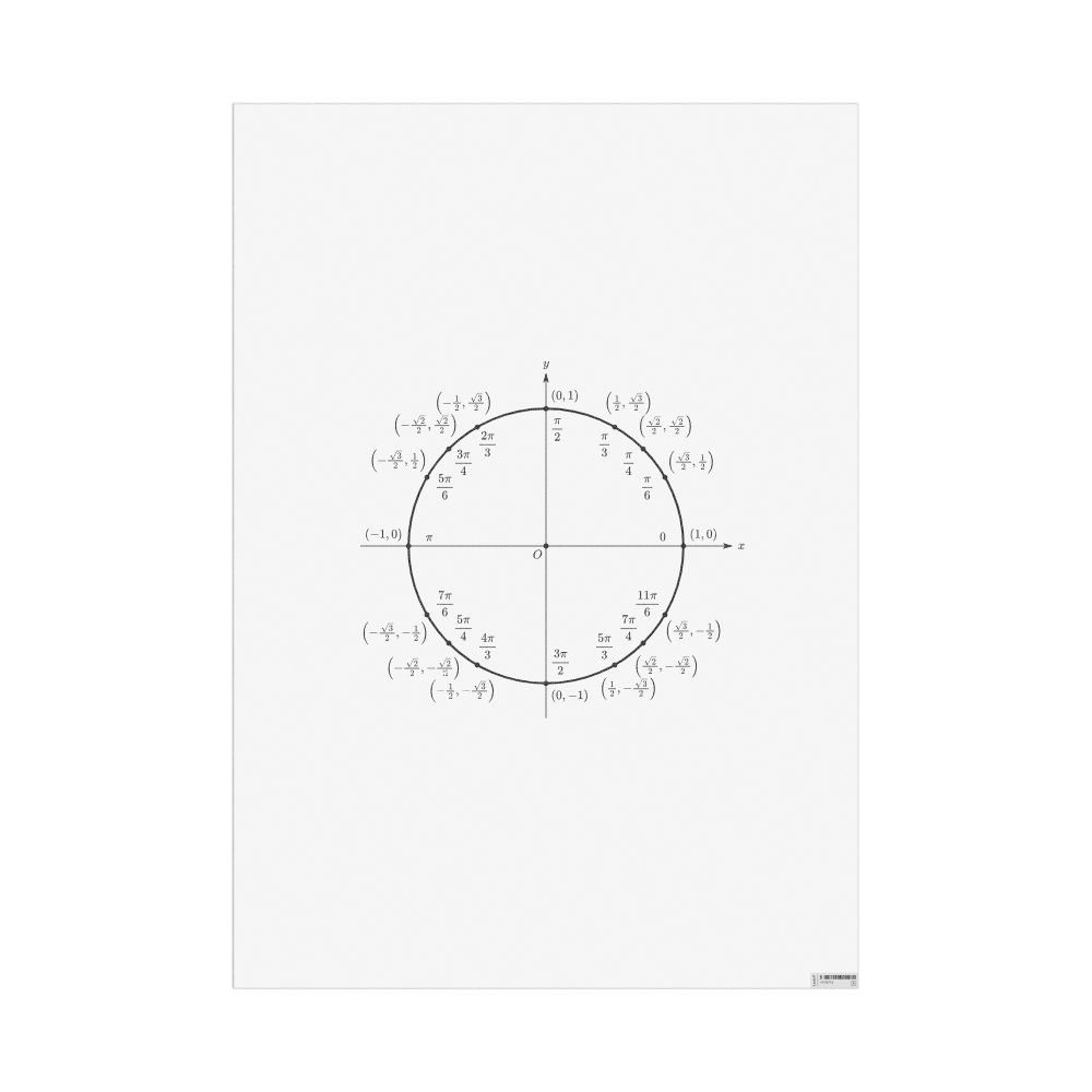 Masleff Unit Circle Poster, image 1 of 1