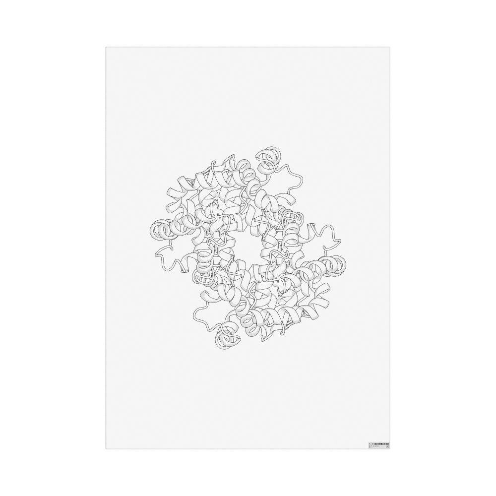 Masleff Hemoglobin Poster, Duotone, image 1 of 1