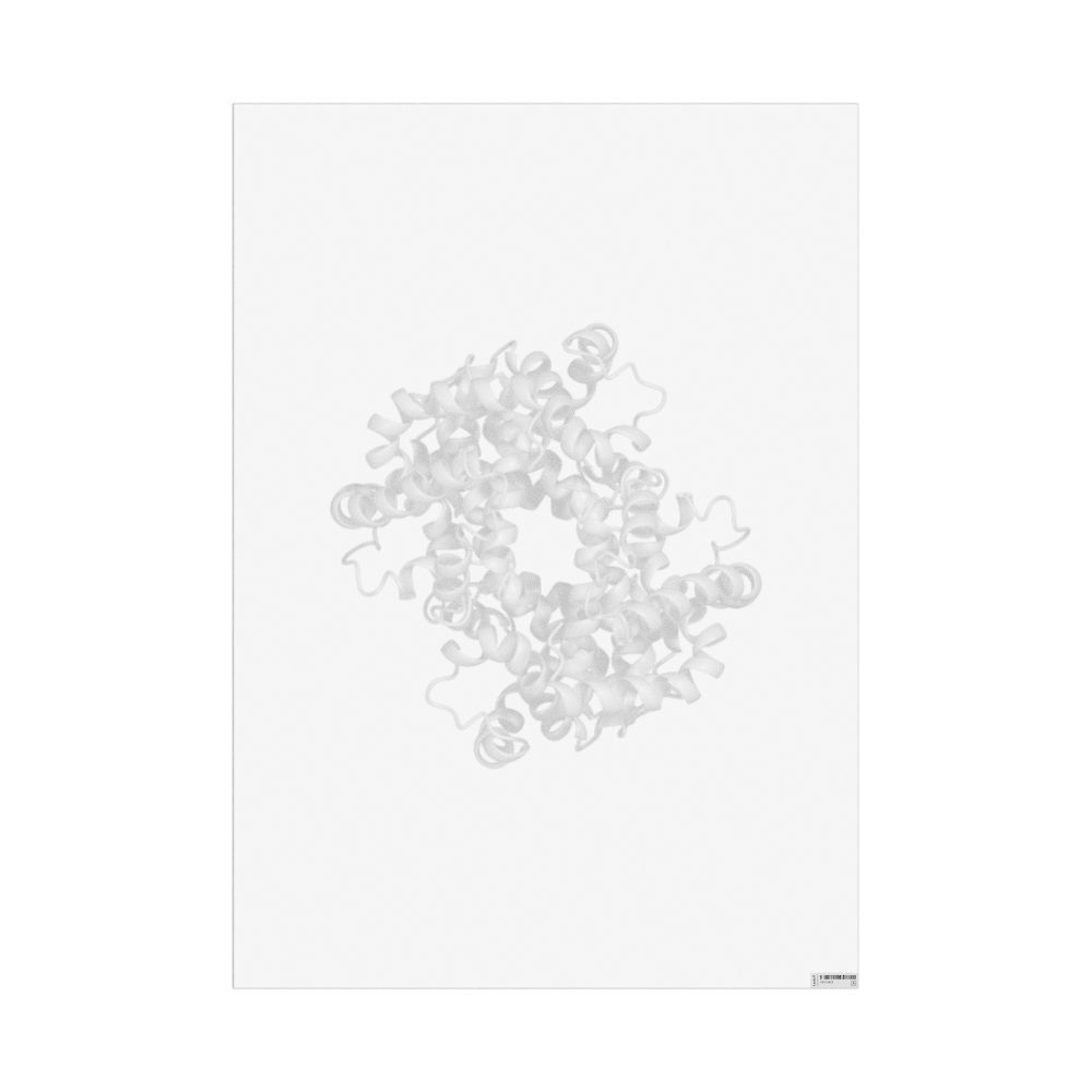 Masleff Hemoglobin Poster, Shaded View, image 1 of 1