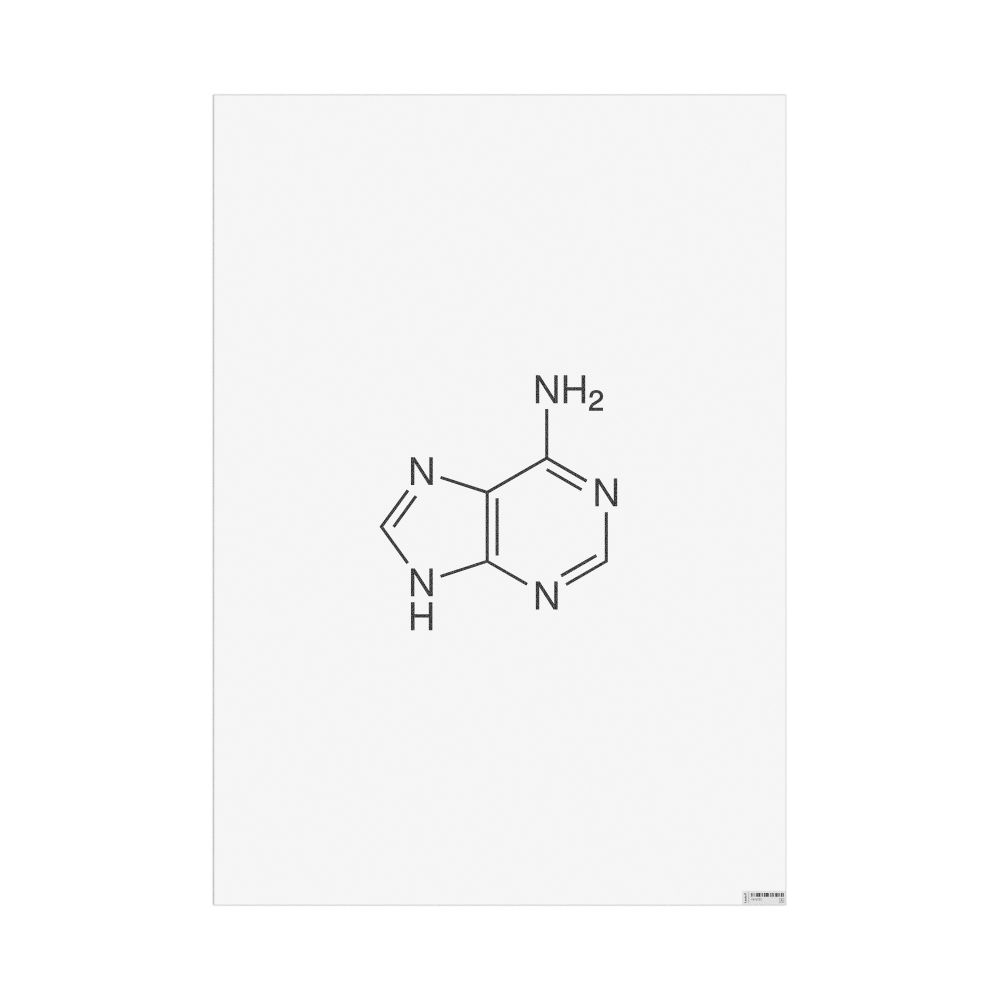 Masleff Adenine Molecule Poster, 2D Structure, image 1 of 1