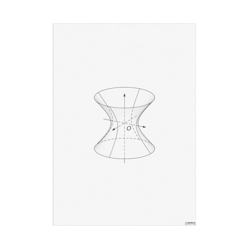 Masleff Hyperboloid of One Sheet Poster, Shaded View, image 1 of 1
