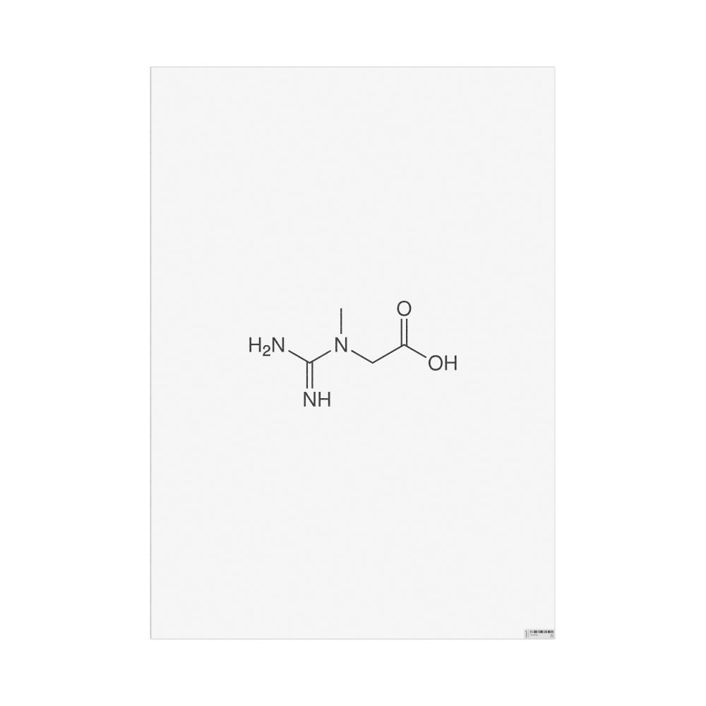 Masleff Creatine Molecule Poster, 2D Structure, image 1 of 1